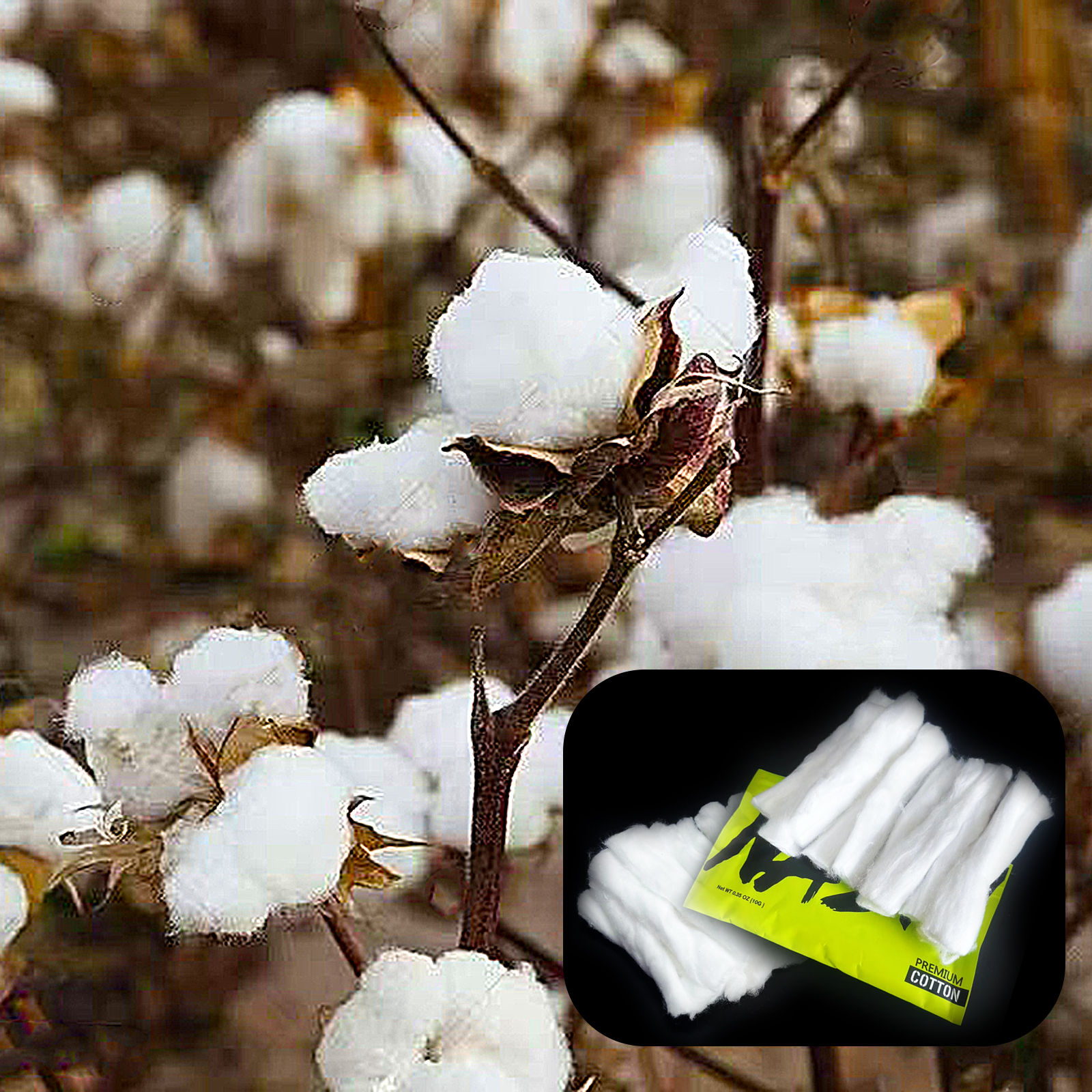 10/5/3Packs Home DIY Natural C - Cotton Wick Organic のレビューと価格