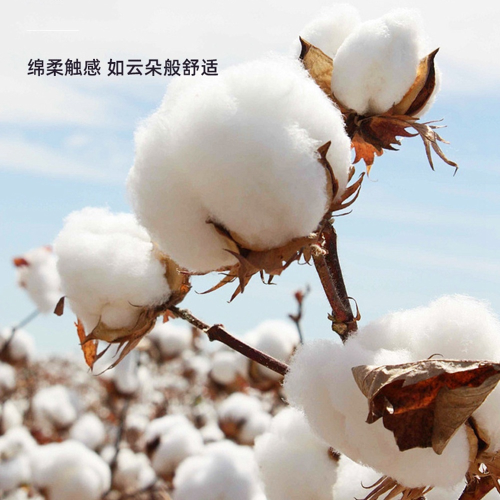 5.0/3.0/2.5mm Rubber Head Orga - Cotton Wick Organic のレビューと価格